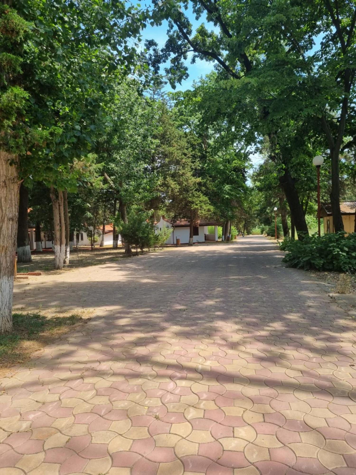Complex Holiday Neptun Cameră foto